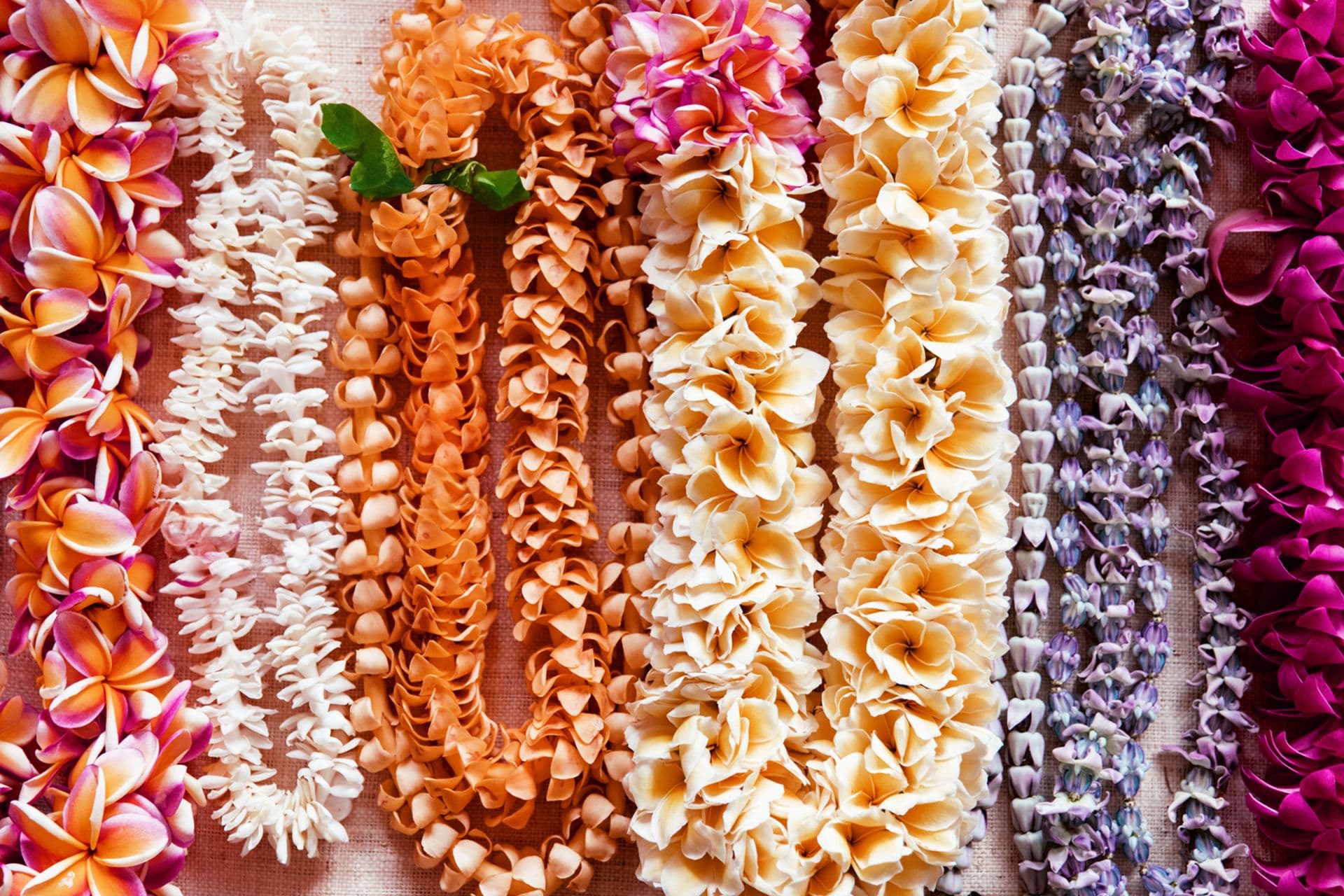 Rows of fresh flower lei