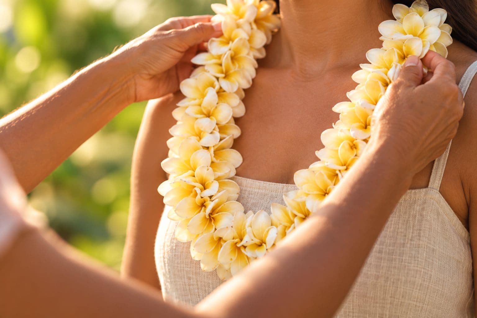 Hands placing a yellow plumeria lei over someone’s shoulders